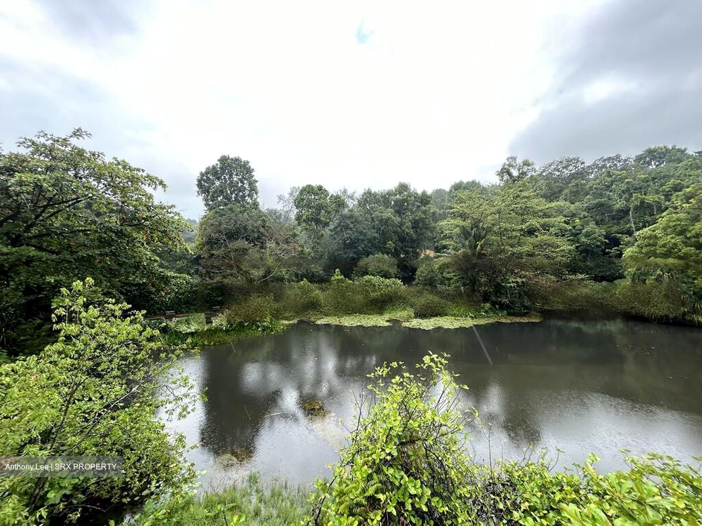 Normanton Park (D5), Apartment #483642061